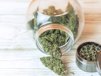 cbd buds