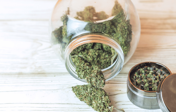 cbd buds