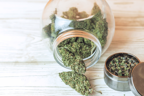 cbd buds