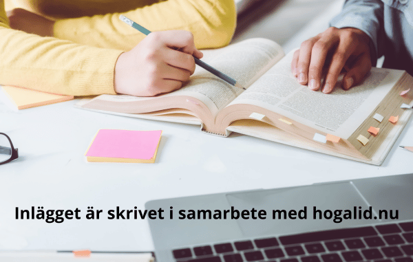 folkhögskola