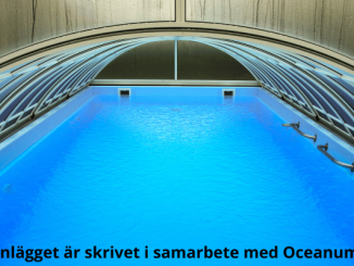 pooltak